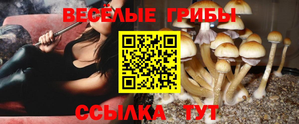 Галлюциногенные грибы Psilocybe  Вход с VPN  Анжеро-Судженск  Псилоцибиновые грибы мухоморы 